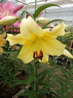 [5643 VH73 No02.JPG]